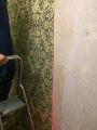 Примеры работ