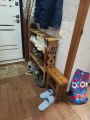 Все работы которые я выполнил.