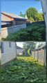 Покос высокой травы, борщевика. Без сборки. 