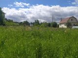 Покос бурьяна 30 соток