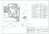 Проект Цветущий сад