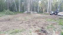 Расчищенный участок от крупного леса 