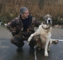 Безупречное исполнение 
