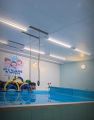 Центр обучения плаванию. Дмитров. Апрель 2026