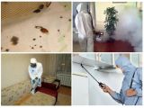Борьба от клопов