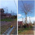 Спил дерева, пристройка, отделка, фундамент
