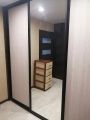 Встроенный шкаф. Лдсп Пикард. Система aristo, наполнение зеркало,лдсп Пикард. 