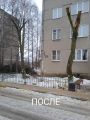 Обрезка деревьев до и после