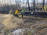 Спил и обрезка деревьев с измельчением порубочных остатков