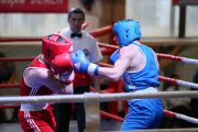 Первенство ЦФО по боксу, полуфинал 