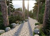 Проект и 3D - визуализация лесного участка