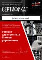 Ремонт блоков управления двигателем.