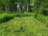 Июнь покос диском