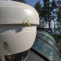 spider on camera... (look, it is on the camera)