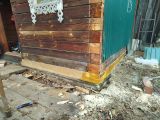 Монтаж скрытой проводки под свет в бане, изготовление полков в бане, замена нижних венцов в бане.