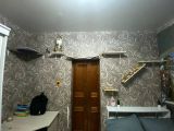 Самодельный комплекс когтеточек для домашнего питомца