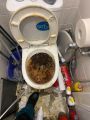 Засор унитаза