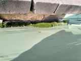 Место попадания дождевой воды
