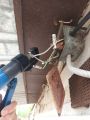 Опресовка скруток кабеля меднолужеными гильзами