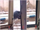 Замена уплотнителя на окне ПВХ