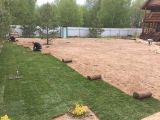 Укладка рулонного газона
