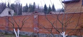 Весенняя обрезка плодового сада