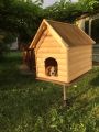 Собачья будка