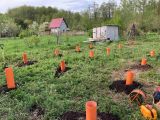 Бурение лунок мотобуром