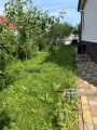 Покос