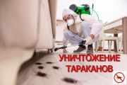 Уничтожение тараканов