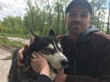 Бездомноя хаски, взял на воспитание