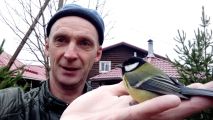 кровля