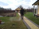 Обработка газона от грибковых заболеваний