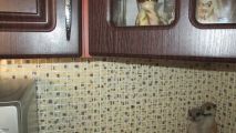 Стеновые панели