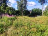 Участок заросший травой до покоса
