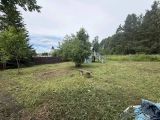Расистка участка . Покос ,удаление кустов и деревьев 