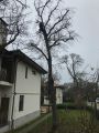 Геленджик. ЖК 