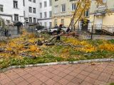 Спил и обрезка деревьев с измельчением порубочных остатков