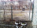 Забор полисадника 