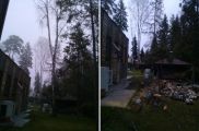 Удаление берёзы частями, с частичным скидывание и со спуском на веревке