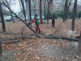 Театр советской армии  ЦАО
