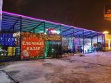 Украшение светодиодными гирляндами, светодиодным дождем, светодиодной бахромой, неоном и дюралайтом собственного магазина