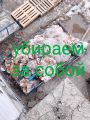 Уборка мусора
