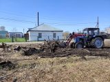 Произвели выпиливание Кленовой рощи. Вывезли и утилизировали деревья и мусор.
В последний день с помощью спецтехники произвели полную уборку территории.
Срок работ 3 дня.