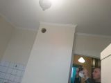 потолочный плинтус ,обои ,линолеум 
