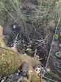Распиливание деревьев на высоте 