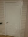 Дверь, петли врезные, наличники-телескопы