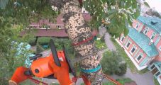 Спил дерева частями