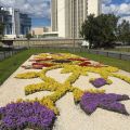 Городской цветник 