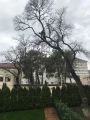 Геленджик. ЖК 